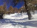 da sopramonte al palon-08-12-08